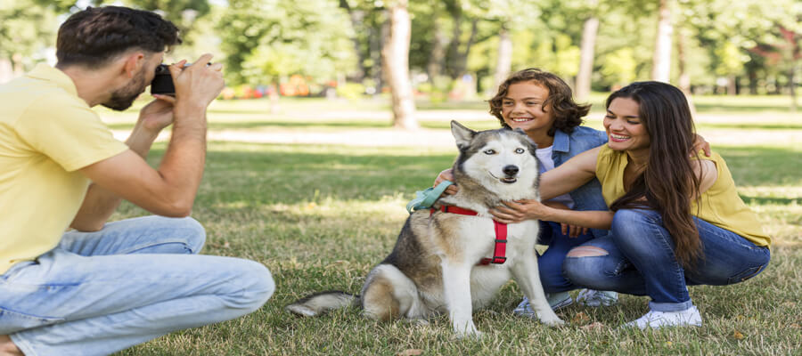 The Most Dog-Friendly Cities for Adoption Events in 2024